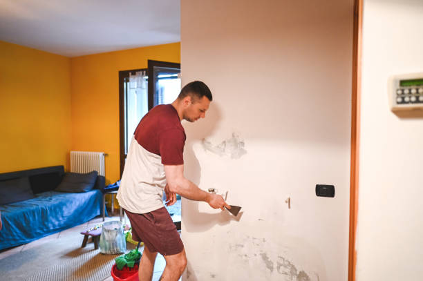 Best Mold Testing and Inspection Services in Fort Hall, ID